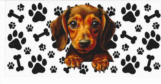 PET1