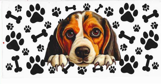 PET10