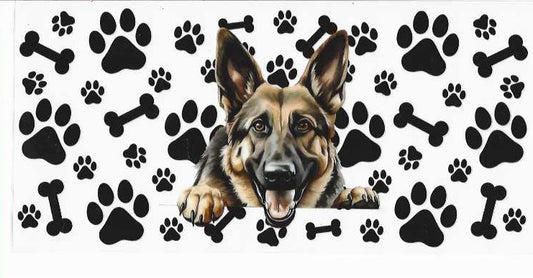 PET12