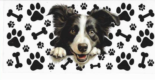 PET2