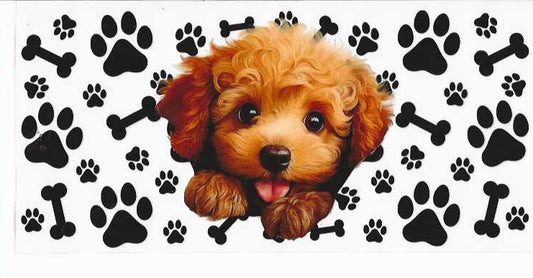 PET5