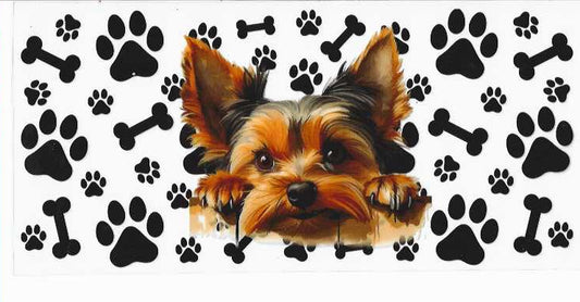 PET8